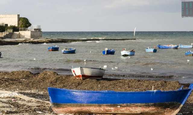 Bari, cala Pantano: tra alghe e gozzi il porticello che 